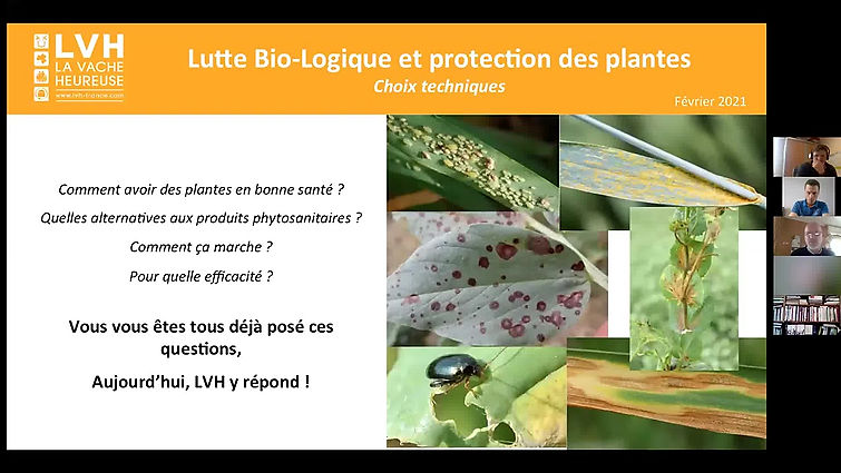 Comment produire et protéger les cultures sans fongicide ni insecticide